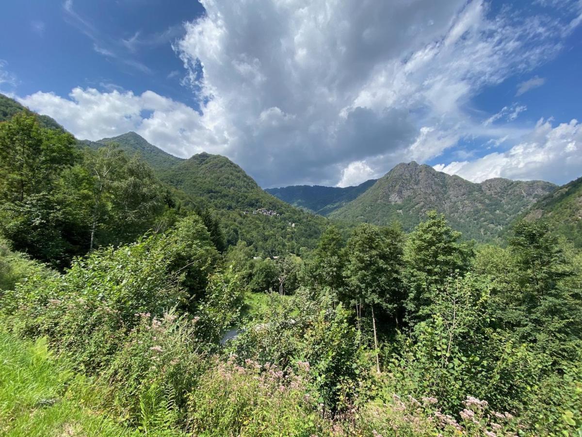 Mountain Cabin Valsesia Appartement Stella Varallo Ngoại thất bức ảnh