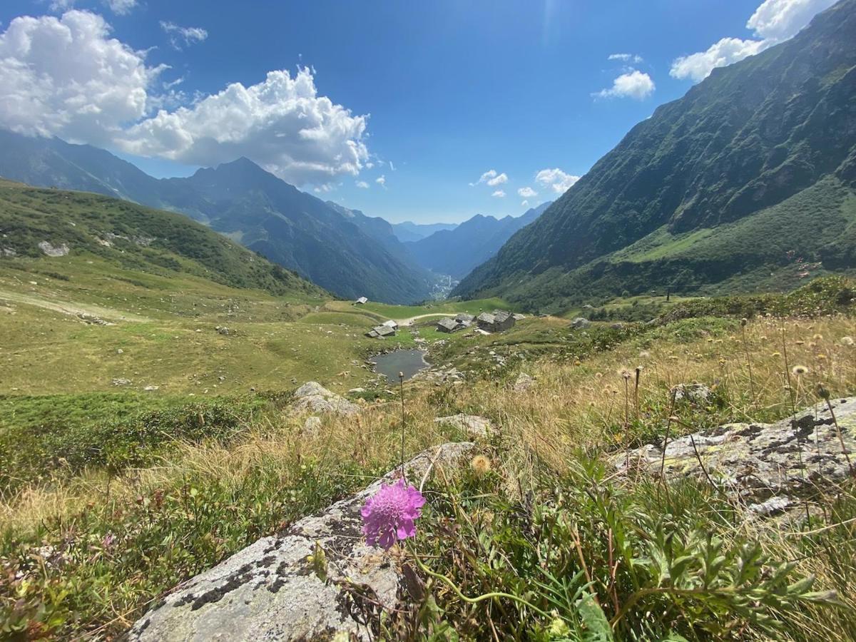 Mountain Cabin Valsesia Appartement Stella Varallo Ngoại thất bức ảnh